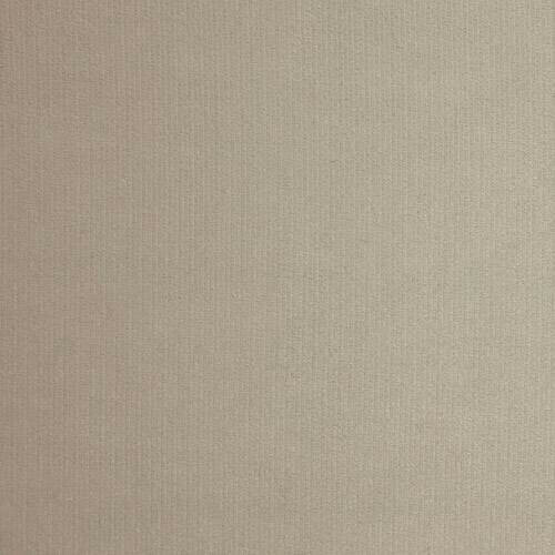 Eteissetti Pinis I (Valkoinen)