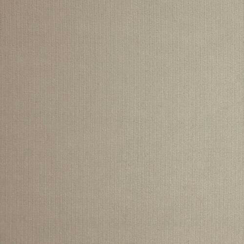 Eteissetti Pinis IX (Valkoinen)