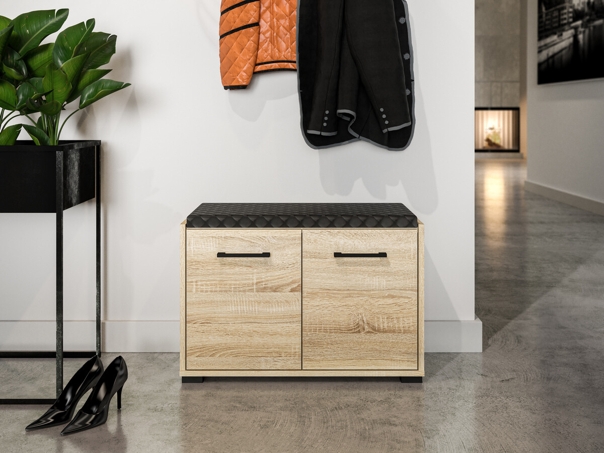 Kenkäkaappi Camtesu 101