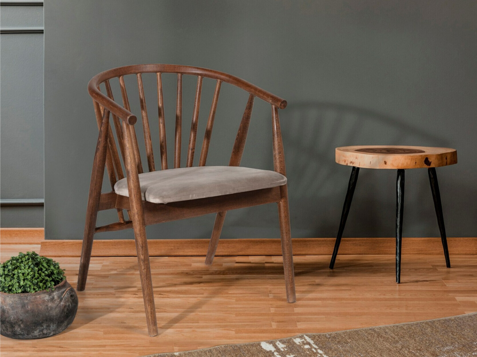 Tuoli Kailua 2258 (Beige + Pähkinä)