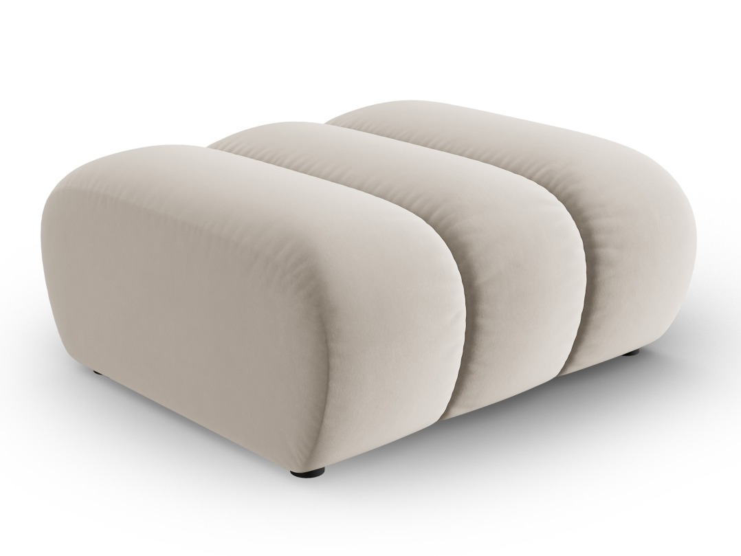 Verhoiltu penkki Cirleve 109 (Salvador 1)