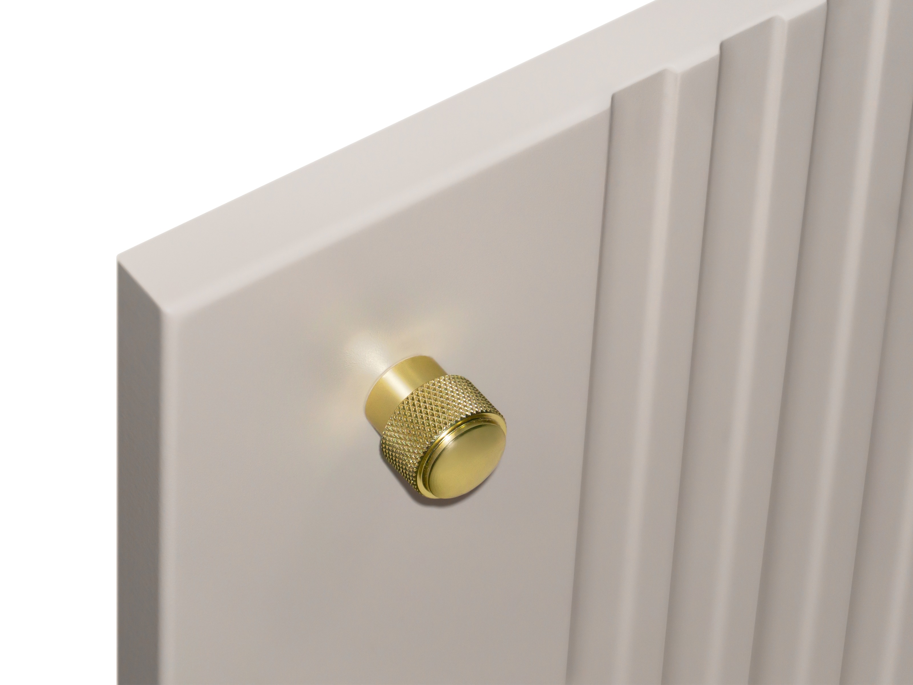 Lipasto Levfene 100 (Kashmir)